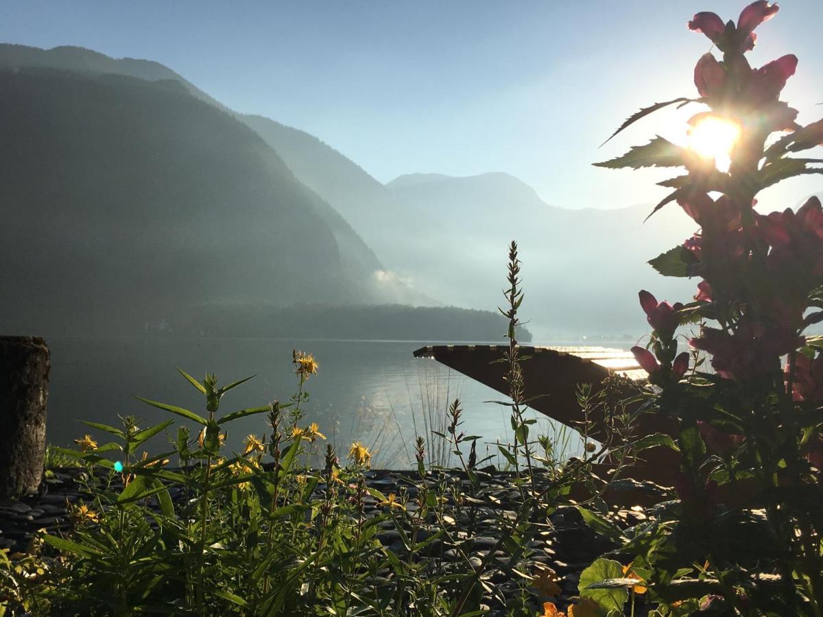 Glueck Am See - Apartment Mit Seezugang Hallstatt Kültér fotó